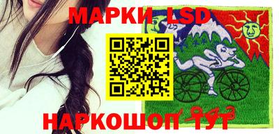 ECSTASY Гатчина