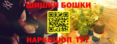 ECSTASY Гатчина