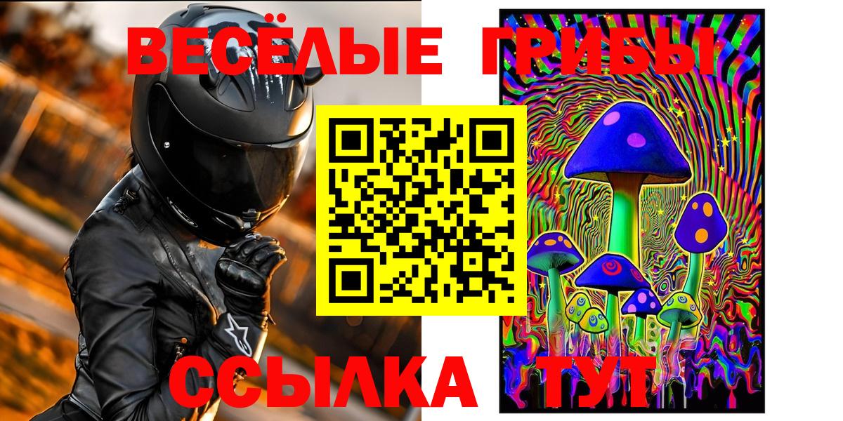 Псилоцибиновые грибы Cubensis Новокузнецк