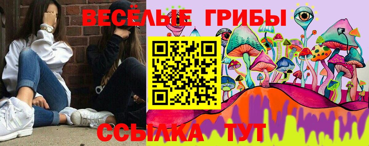 Псилоцибиновые грибы MAGIC MUSHROOMS  Галлюциногенные грибы Cubensis  Вход с VPN  Новокузнецк 