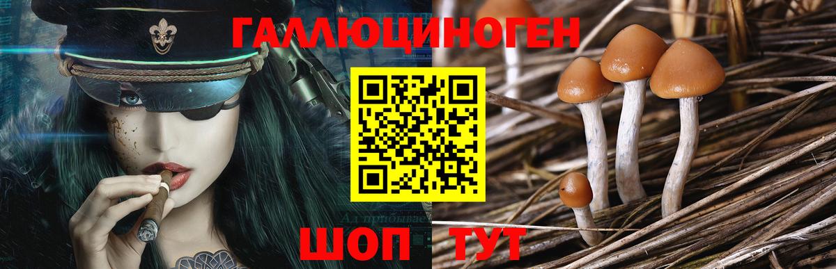 Галлюциногенные грибы MAGIC MUSHROOMS  Галлюциногенные грибы Psilocybine cubensis  Новокузнецк 